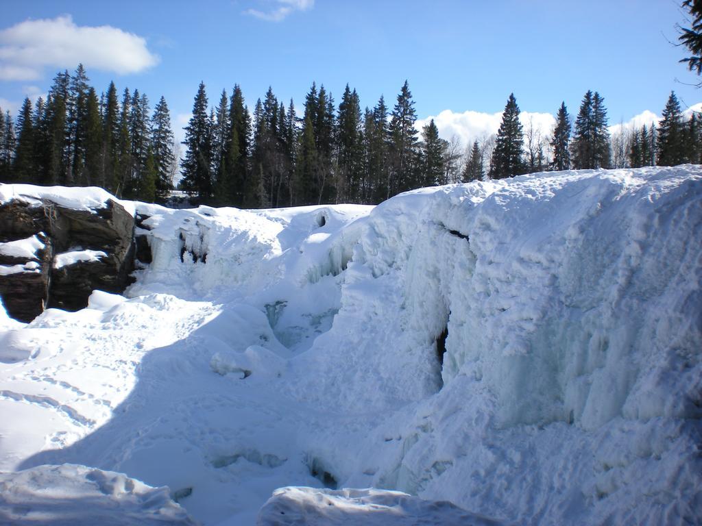 Ristafallets Camping Nyland  Buitenkant foto